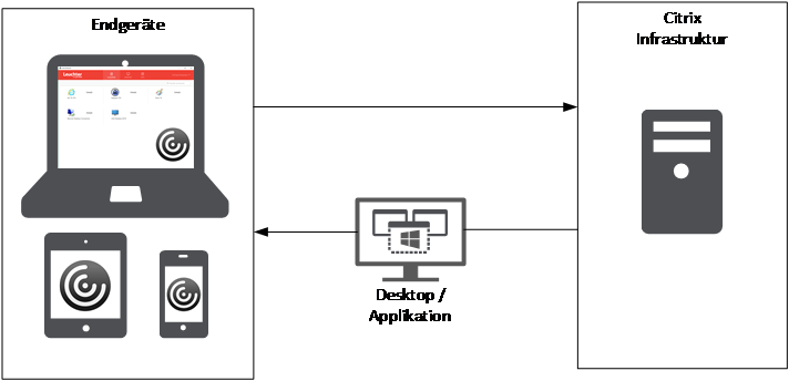 Citrix Architektur Diagramm mit Endgeräten und zentraler Infrastruktur zur Bereitstellung virtueller Desktops und Anwendungen