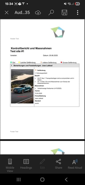 audit-app-berichtserstellung